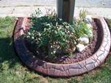 decorative-concrete-curbing-001