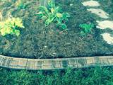 decorative-concrete-curbing-0101