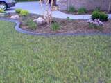 decorative-concrete-curbing-012
