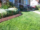 decorative-concrete-curbing-032