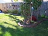 decorative-concrete-curbing-034