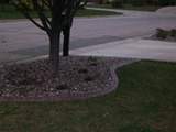 decorative-concrete-curbing-059