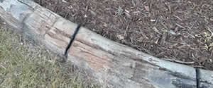 Concrete Curb Stamp Option Wood Plank